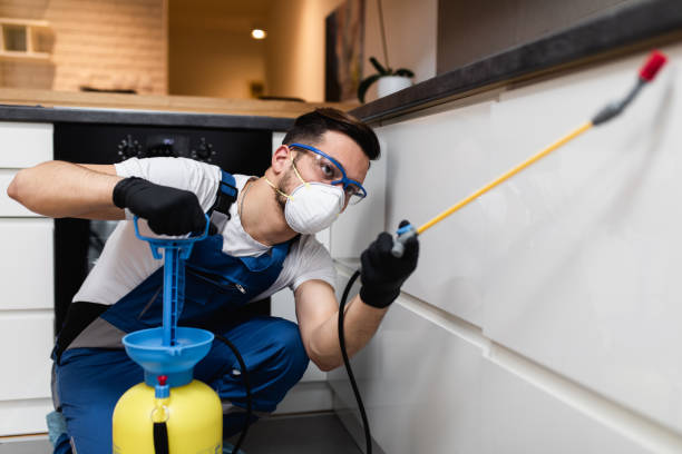 Best Mosquito Control Services  in Springboro, OH