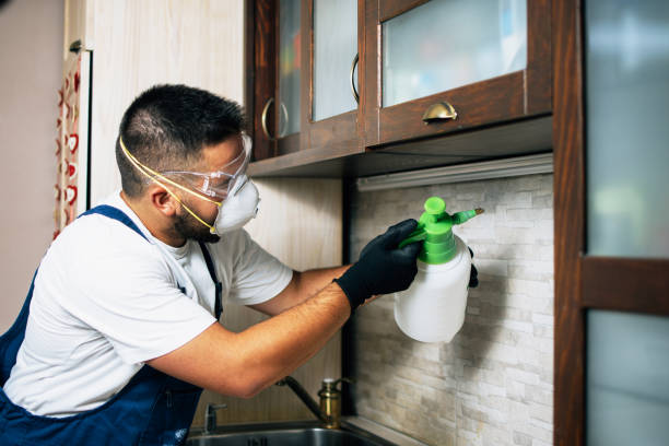 Best Pest Control Near Me  in Springboro, OH