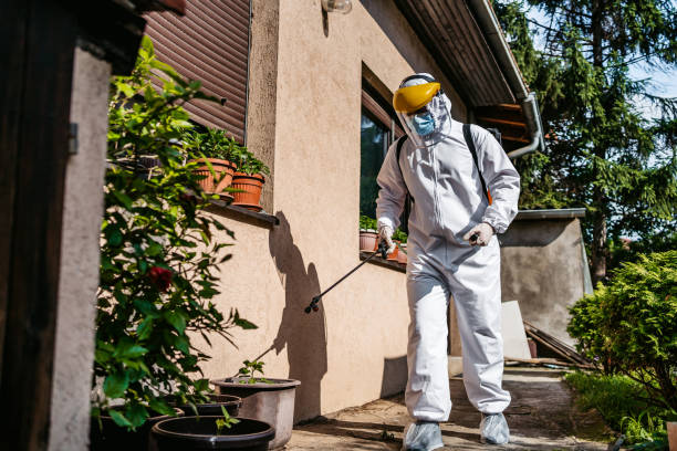 Best Residential Pest Control  in Springboro, OH
