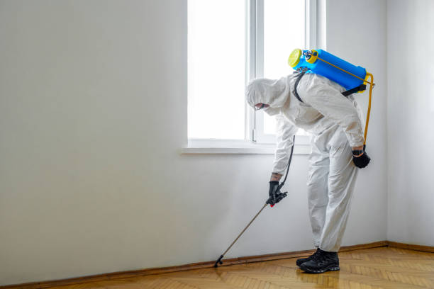 Best Pest Removal Services  in Springboro, OH