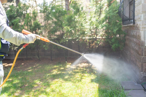 Wildlife Control Services in Springboro, OH