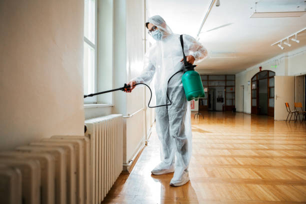 Best Emergency Pest Control  in Springboro, OH