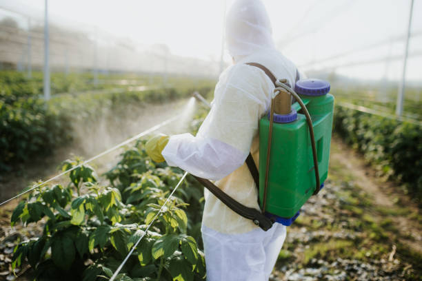Best Pest Control Treatment  in Springboro, OH